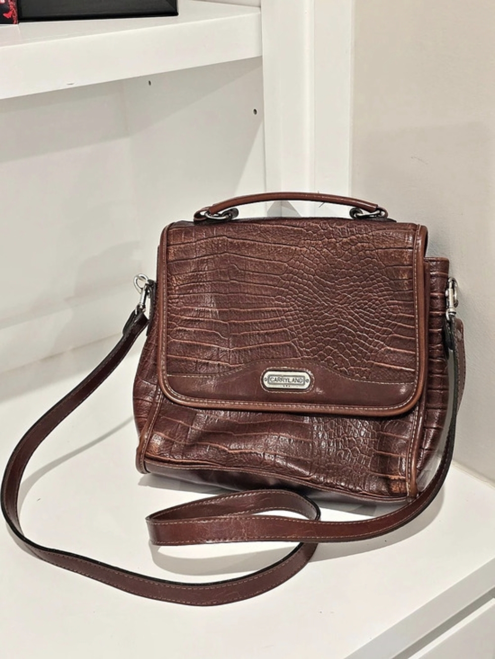 Carryland Crossbody Bag in Brown
